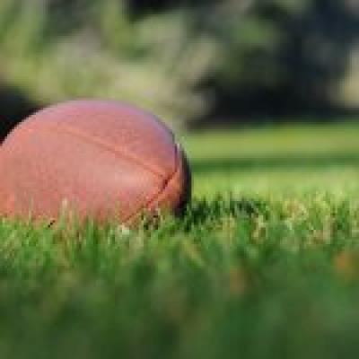 football in the grass