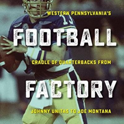 Wayne Stewart book cover