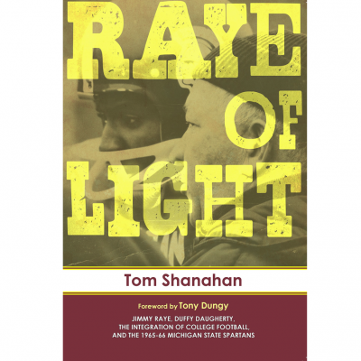 Raye of Light book cover