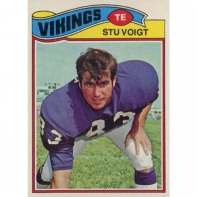 Stu Voigt cover