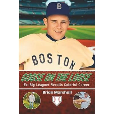 Goose on the Loose cover